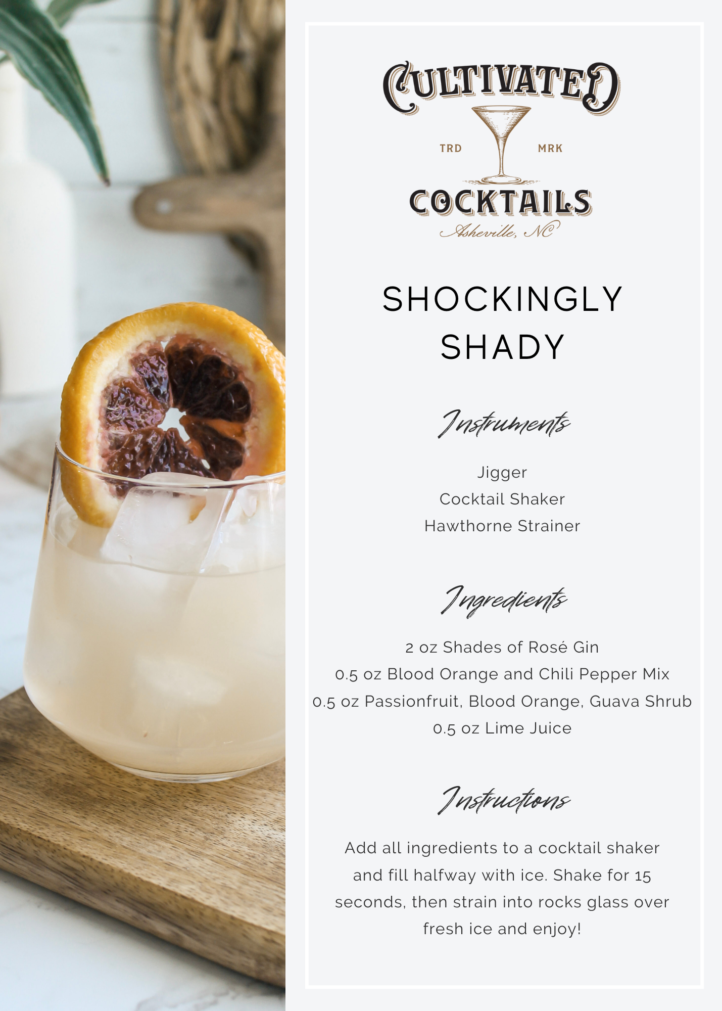 Shockingly Shady Cocktail Kit